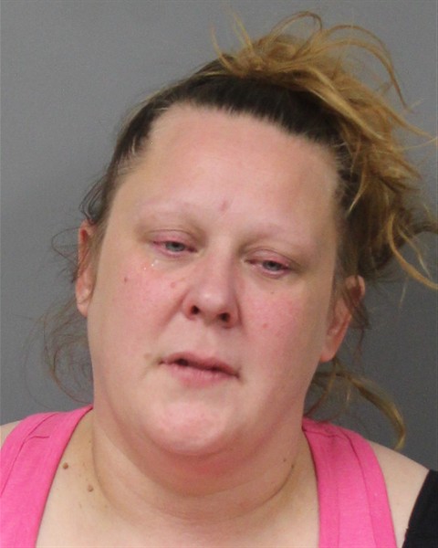 Mugshot of APRIL MARIE DIXON