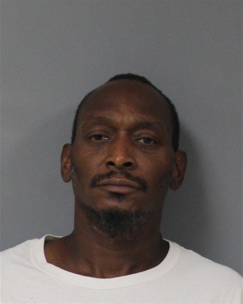 Mugshot of TURQUISE RONNELLE BERRY
