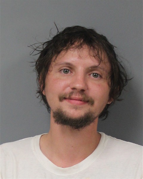 Mugshot of JORDAN CHARLES LEWIS