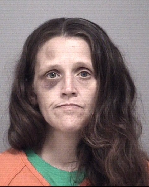 Mugshot of TOSHA MARIE FREEBURN