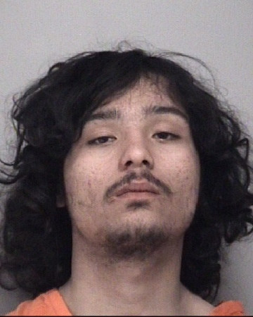 Mugshot of MICHAEL JOHNATHAN VROMAN