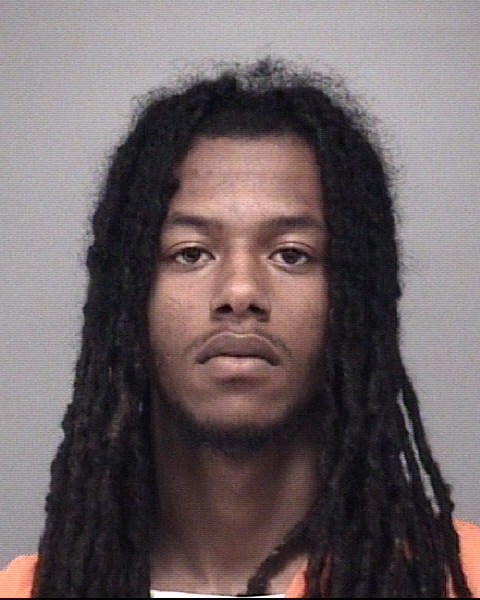 Mugshot of ROBERT DEMON PALMER