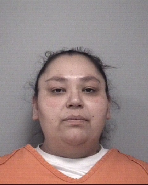 Mugshot of JENNIFER GERMAINE FISH