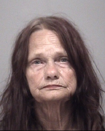Mugshot of SUE ANN HEDGES
