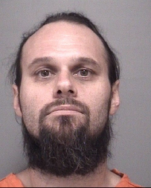 Mugshot of DAVID ROBERTLEE VOSS