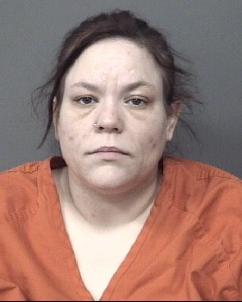 Mugshot of CARLA LYNN FELTNER
