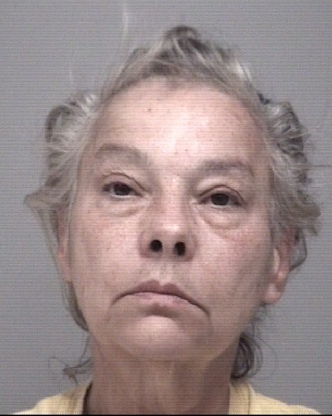 Mugshot of BRENDA LEE HANDLOSER