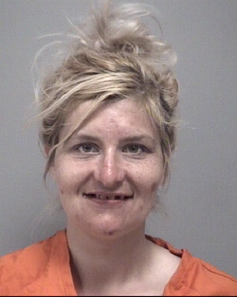 Mugshot of DANIELLE AUTUMN STETLER