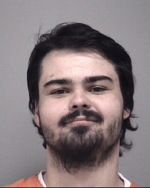 Mugshot of TANNER LEE WATKINS