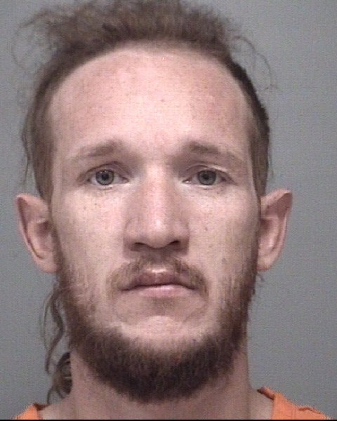 Mugshot of MICHAEL LEROY PAYNE