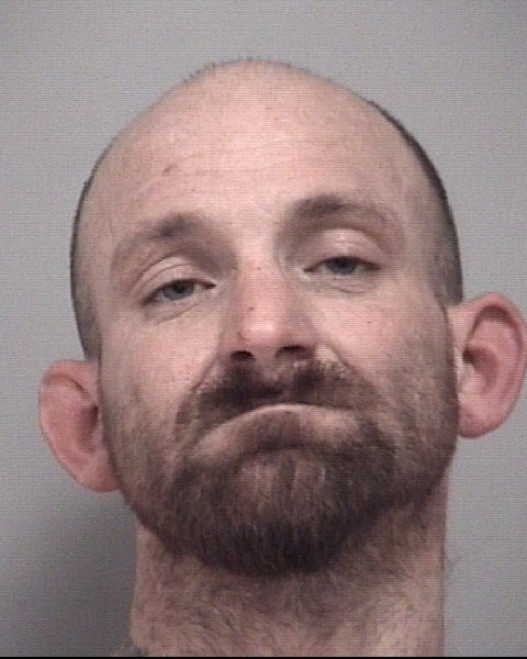 Mugshot of ROBERT DELL GILLISON