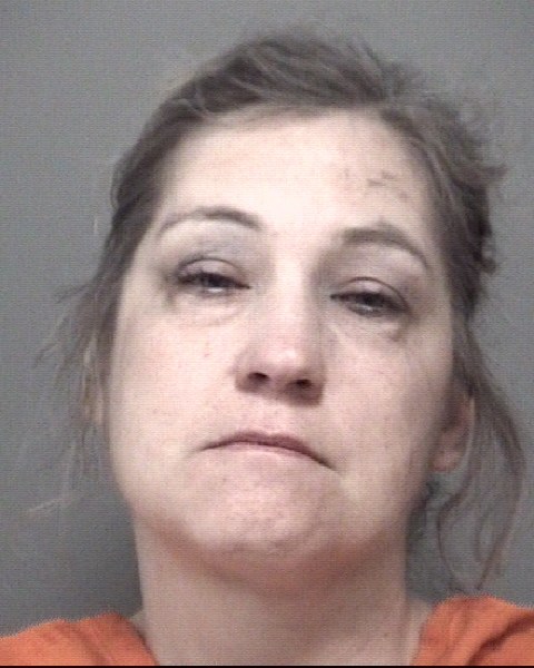 Mugshot of AMBER DEE WILSON