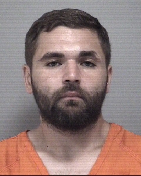 Mugshot of TYLER SHAWN ALWAN