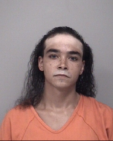 Mugshot of CHRISTIAN JULES LEDAY