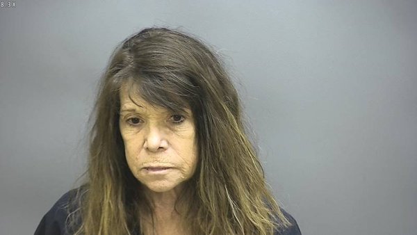 Mugshot of LISA ANN FARMER