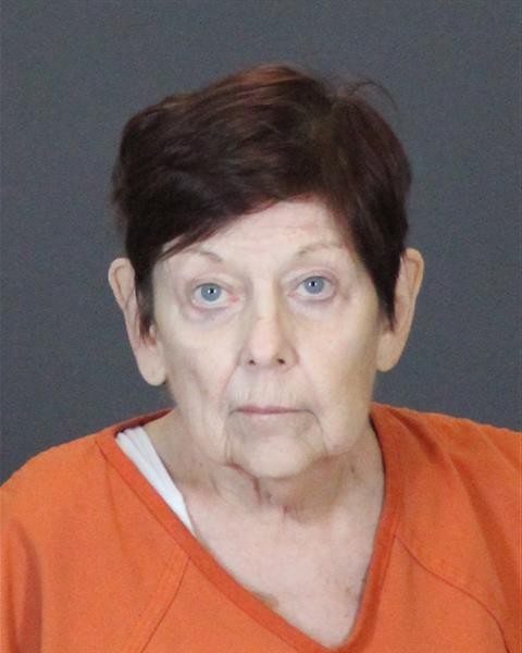 Mugshot of PAMELA ARNETT MACDONALD