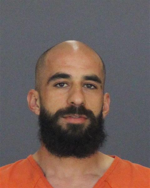 Mugshot of AHMAD NMN DAOUD