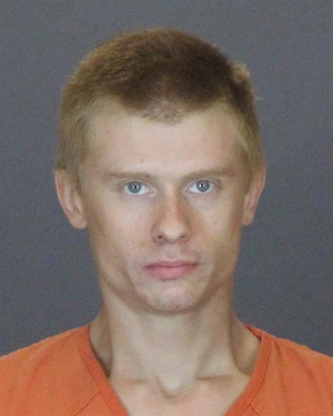 Mugshot of STEPHEN WAYNE ROBERT HEDEEN