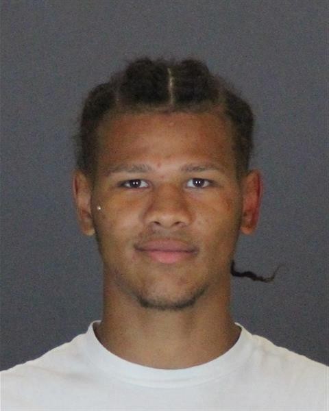 Mugshot of TERRENCE MICHAEL BROWN
