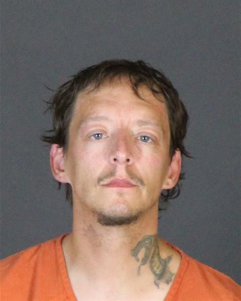 Mugshot of WAYNE THOMAS BROWN