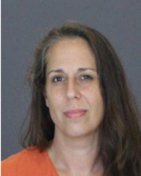 Mugshot of TONI SUE HAMILTON