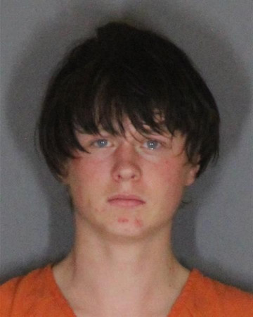 Mugshot of LOGAN MICHAEL REYNOLDS