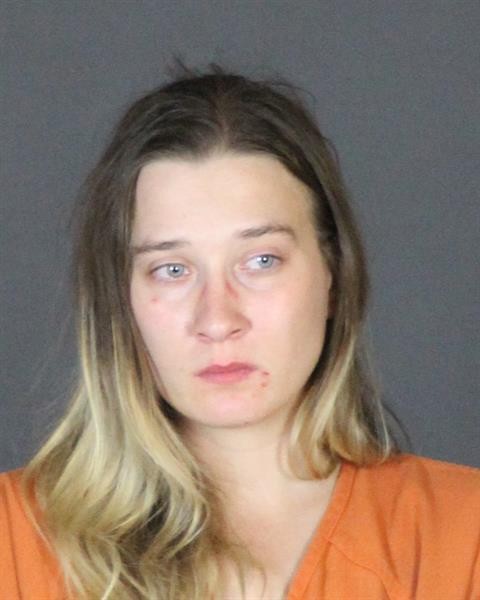 Mugshot of LINDSEY DOBSON