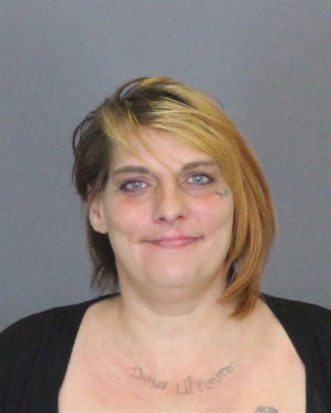 Mugshot of MARY ELLEN MELDRUM