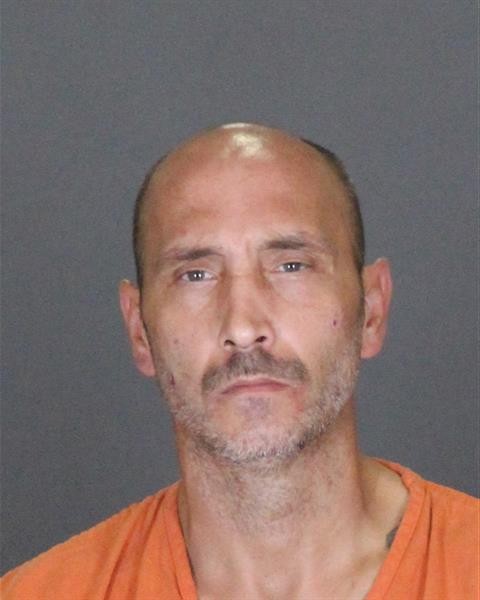 Mugshot of RONALD DAVID HENNEMAN