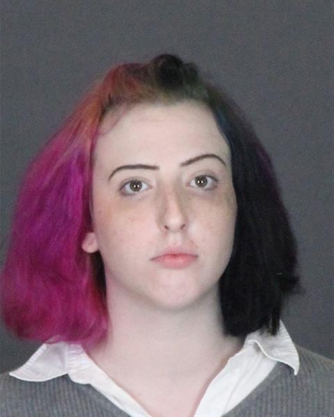 Mugshot of JESSICA LYNN DEMETROFF