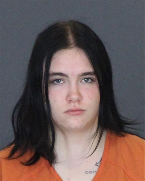 Mugshot of LAUREN ELIZABETH FRENCH