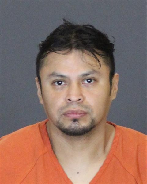 Mugshot of MARCO TREJO-IRINEO