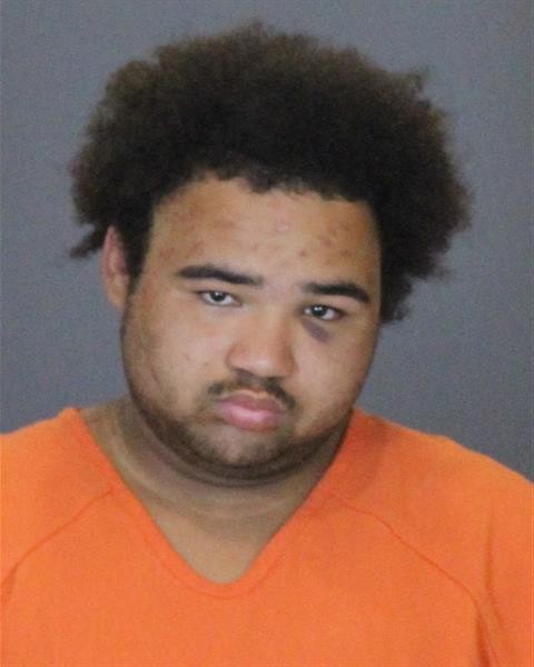 Mugshot of WILLIE DAVID ROSS