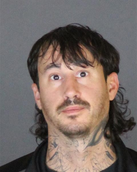 Mugshot of TREVOR PATRICK SCHUMAN