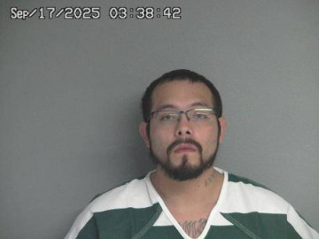 Mugshot of MARTIN LUIS CARMONA