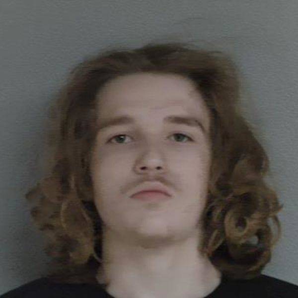 Mugshot of SKYLER ALAN-DANIEL-LEE WOOD
