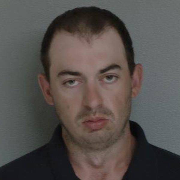 Mugshot of TONY LEE BRESSON