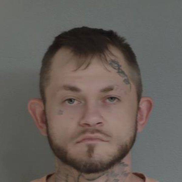 Mugshot of SEVON ELISHA GOWEN