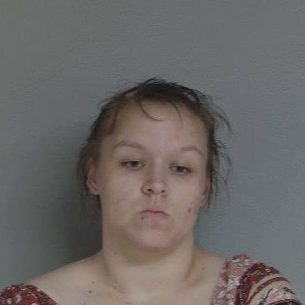 Mugshot of JANIE LEE BEAUCHAMP
