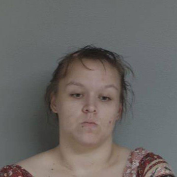 Mugshot of JANIE LEE BEAUCHAMP