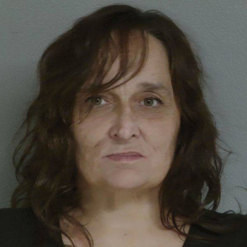 Mugshot of KRISTY LYNNE MCLIMANS