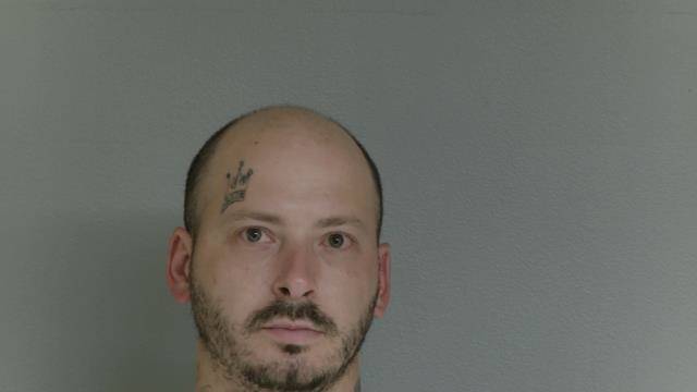 Mugshot of RYAN LEE DODSON