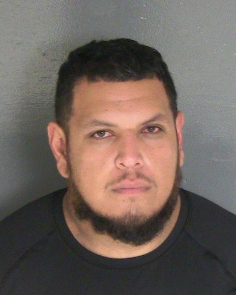 Mugshot of DAVID A RAYA