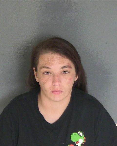 Mugshot of AMANDA E PORTER
