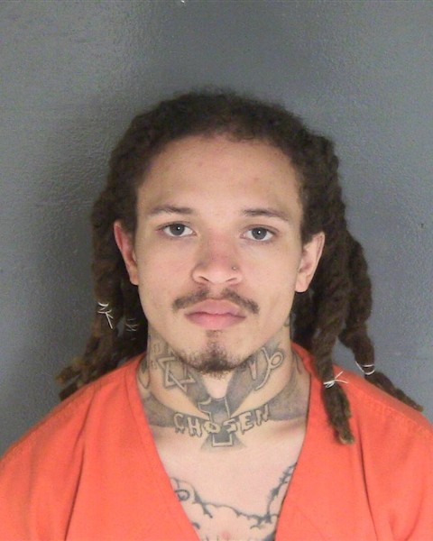 Mugshot of DANYELLE A PHILLIPS