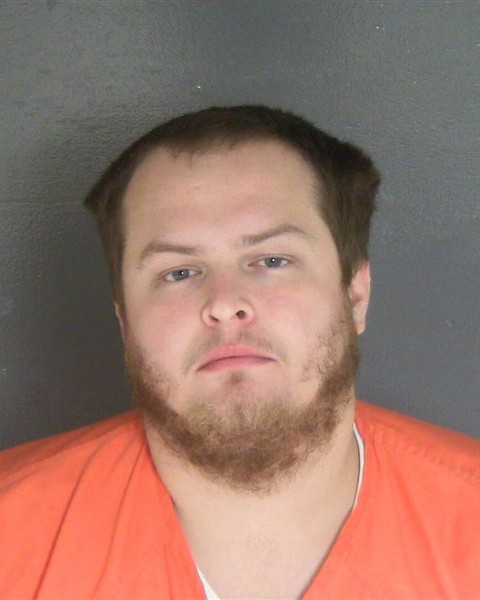 Mugshot of WILLIAM E BROWN
