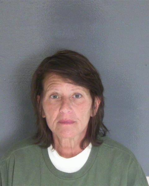Mugshot of LISA M DEGRAFF