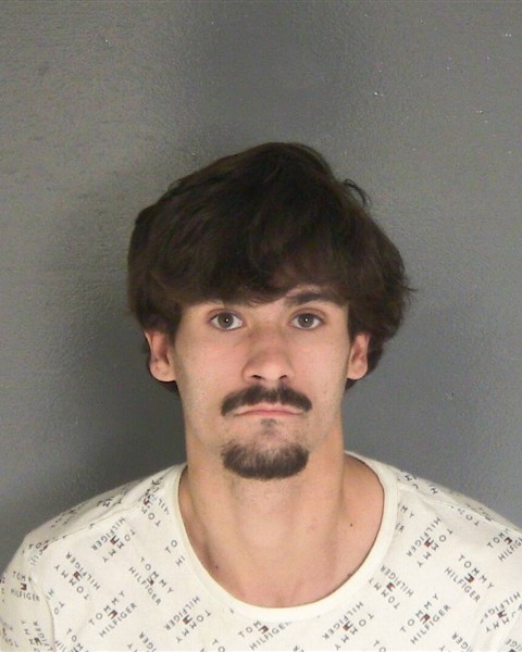 Mugshot of VANLANDINGHAM,