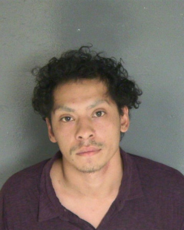 Mugshot of RODOLFO B SOLIS