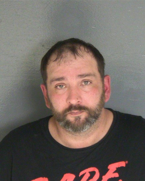 Mugshot of IAN M HEALY